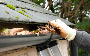 gutter cleaning Waldron Down, East Sussex